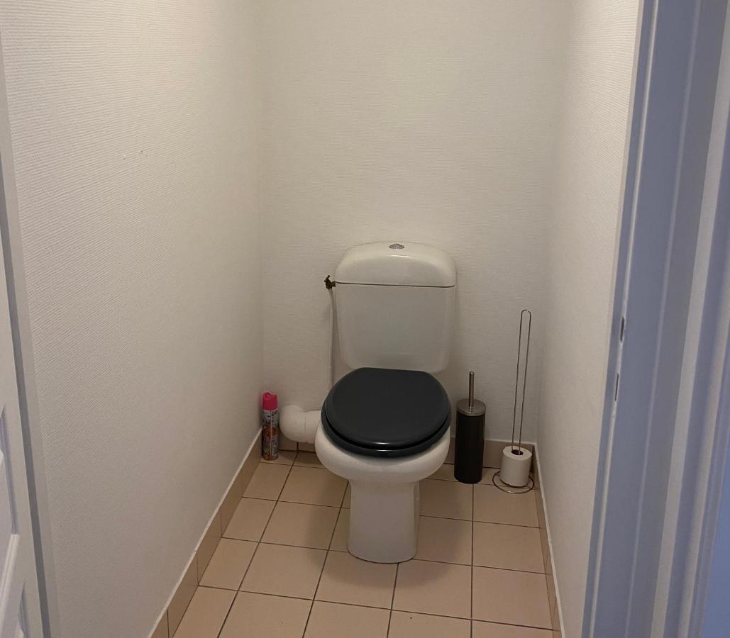 Charmant Appartement En Bord De Cher Saint-Avertin Zewnętrze zdjęcie